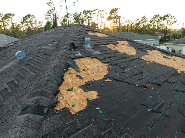 Best Rubber Roofing (EPDM, TPO)  in Woodruff, SC